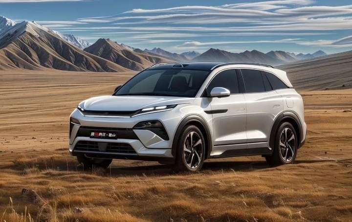 BYD Tang L