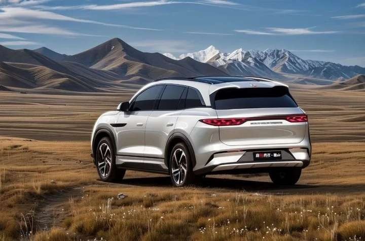 BYD Tang L left rear