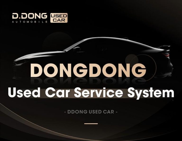 Dongdong Used Car Service System
