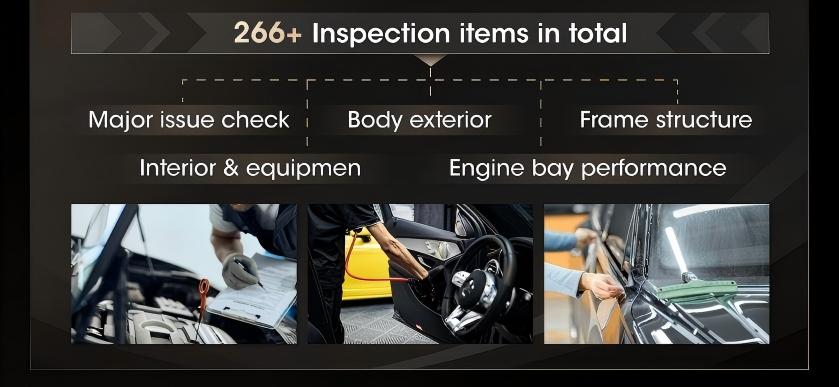266+ Inspection Points