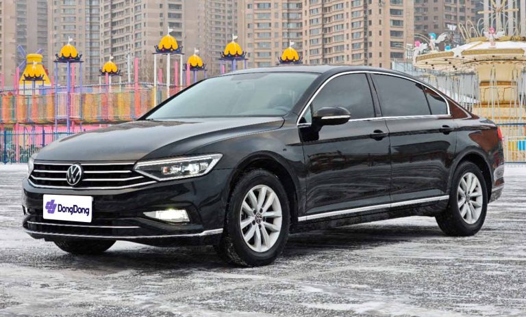 Volkswagen Magotan 2020 280TSI DSG Comfort Edition