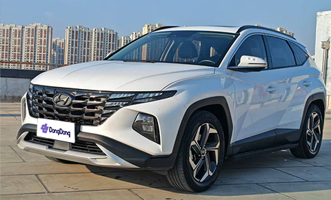 Hyundai Tucson L 2021 1.5T LUX 2WD Premium Edition